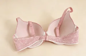 Close-up of inner cups and lace detailing of a pink seamless push-up bra