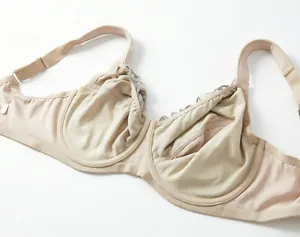 Macro view of the inner cup and delicate lace trim on a nude plus size underwire bra