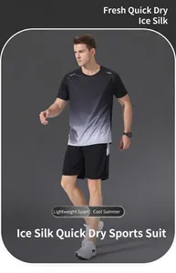 Ensemble de sport pour hommes en soie glacée à séchage rapide avec t-shirt et short gris