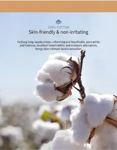 Gros plan de capsules de coton naturel sur fond de ciel bleu, détail 100 % coton