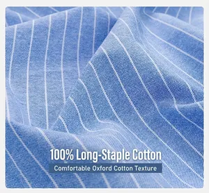 Texture détaillée du tissu Oxford en coton à fibres longues à rayures bleues