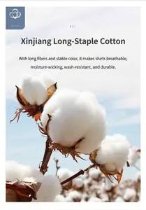 Macro photography of premium long-staple cotton used in quality women's cotton shirts.