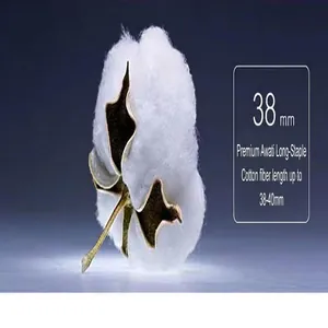 Macro detail of premium 38-40mm long-staple cotton fiber used for non-iron shirts