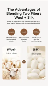 Infografica dettagliata del materiale in lana e seta di gelso per felpa da uomo