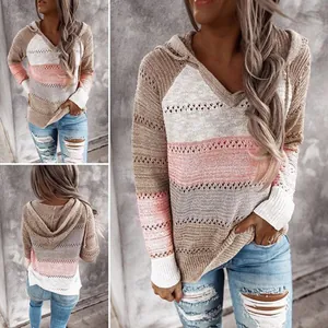 Damen V-Ausschnitt Kapuzenpullover Farbblock Bestickt Gestreift Strickwaren Polyester Langarm Casual Patchwork Herbst Winter Top