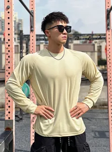 Men's breathable mesh long sleeve athletic shirt for outdoor gym fitness training