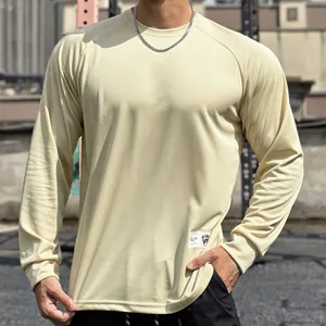Detailed view of men's breathable mesh long-sleeve sports T-shirt for gym training