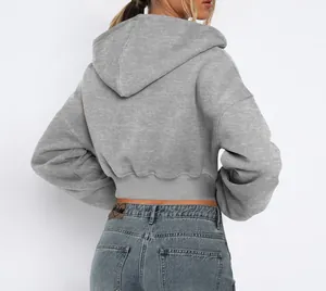 Detailed back view of a grey cropped streetwear hoodie featuring a large cozy hood