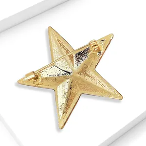 Detail view showing the textured golden back and safety pin of the star-shaped brooch.