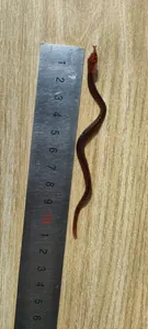 Serpente giocattolo realistico in gomma marrone per scherzi con righello da 11 cm