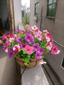 Artificial purple and pink flower hanging basket with coconut liner for garden