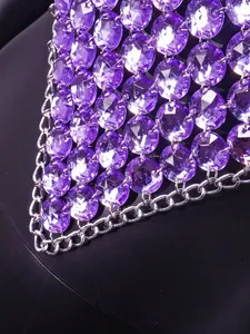 Vista dettagliata di perle di cristallo viola e catene d'argento su top halter sexy party