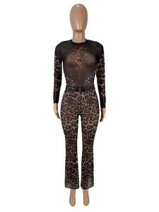 Two-piece leopard print mesh top and high-waisted flared pants on mannequin