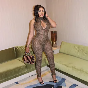 Full body shot of a sexy leopard print mesh jumpsuit with cutout detail on a model.