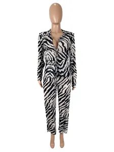 Zebra-Print-Mesh-Zweiteiler mit langärmeligem Oberteil zum Binden und passender Hose