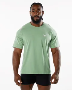 Athletic fit men's sage green short sleeve sports T-shirt with small white chest logo.