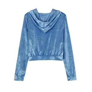 Detailed back view of a light blue shiny velvet hooded sweatshirt featuring elastic hem