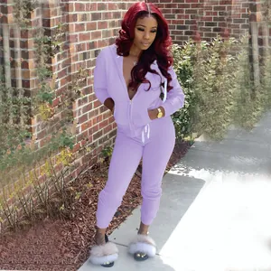 Ensemble de survêtement 2 pièces lavande pour femme avec sweat à capuche et jogging.