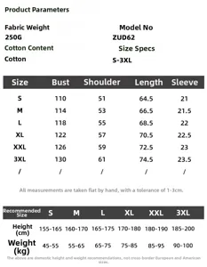 Detailed size chart and specifications for 250g cotton boxy fit short sleeve T-shirt