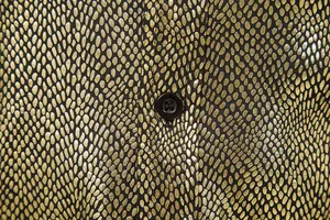 Macro detail van gouden slangenhuid textuur en zwarte knoop op een feestelijk shirt.