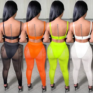 Detailed back view showing the four available colors of the mesh sheer two-piece set