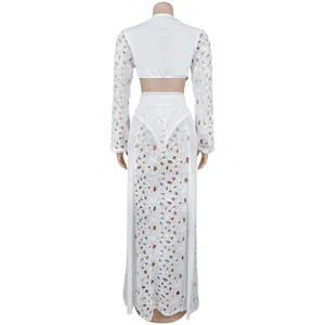 Detail view of a white lace mesh long sleeve maxi dress showing back design details