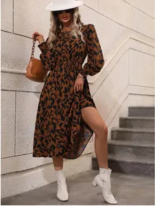Full body shot of a stylish leopard print long-sleeved maxi dress with tie-waist detail