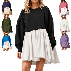 Women's Fake Two-Piece Sweatshirt Dress Loose Pleated Color Block Long Sleeve Top And Bottom For Autumn Winter 2023 Casual European Fashion Dress