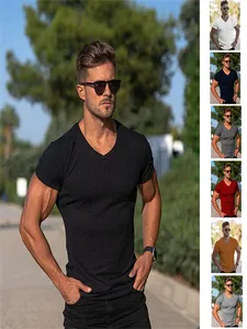 Men's V-Neck Slim Fit Muscle T-Shirt Ribbed Knit Short Sleeve Solid Color Sports Gym Casual Top For Men
