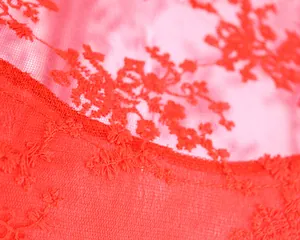 Nahaufnahme roter Blumenstickerei aus Spitze auf einem transparenten Abendkleid