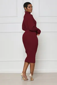 Vue détaillée de profil d'une élégante robe en tricot bordeaux à col haut sur mannequin