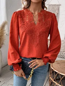 Detail shot of rust red V-neck blouse featuring intricate lace panel and Swiss dot fabric.