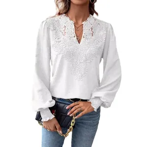 Elegant white V-neck lace long sleeve top with Swiss dot texture for casual women's wear