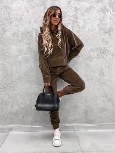 Damen Hoodie und Jogginghose Set aus braunem Samt für lässigen Herbst Streetstyle