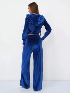 Rückansicht eines blauen Samt-Tracksuits bestehend aus Hoodie und weit geschnittener Hose
