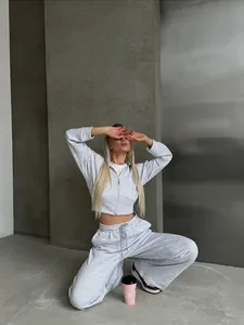 Casual grey two-piece sweatshirt set with cropped zip-up hoodie and drawstring wide-leg pants