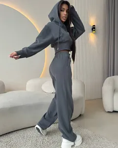 Vue détaillée de l'ensemble de survêtement gris deux pièces avec sweat à capuche