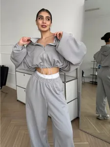 Two-piece grey lounge set featuring a cropped zip-up hoodie and wide-leg pants.