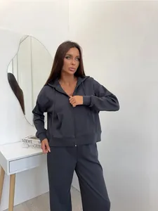 Detail of gray two-piece cotton hoodie and wide-leg jogger set on model