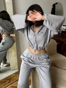 Detail view of grey two-piece tracksuit set with cropped zip-up hoodie and sweatpants