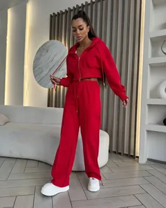 Ensemble de jogging rouge moderne à deux pièces avec capuche sur un mannequin en intérieur.