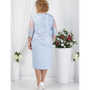 Back view of light blue lace patchwork plus size formal dress with floral embroidery