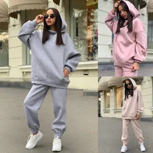 Ensemble deux pièces sweat à capuche et jogging oversize en gris rose et beige