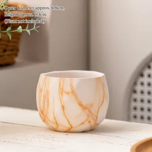 Detailweergave van de keramische succulentenpot met marmerpatroon en afmetingen
