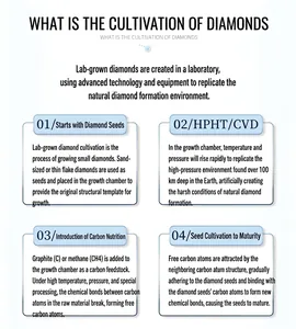 Infografica che spiega il processo di coltivazione HPHT e CVD dei diamanti da laboratorio