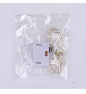 Close-up view of the LED fairy light string component with white battery box in clear packaging