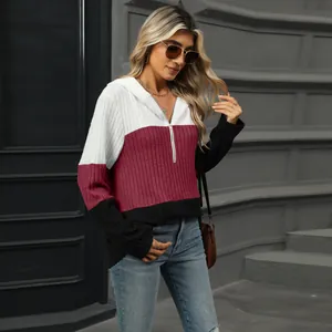 Modell im Streetstyle trägt Kapuzenpullover mit Farbblock-Design und kurzem Reißverschluss