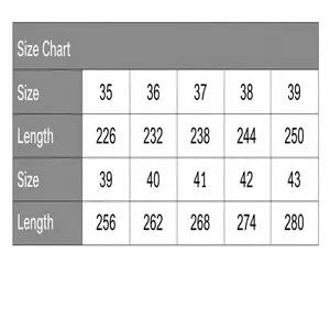 Detailed women's shoe size chart showing size comparison and insole length measurements