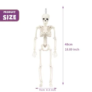 Lifelike 48cm plastic human skeleton model for Halloween garden and party decoration