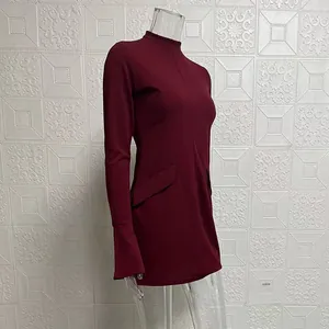 Side view of elegant slim fit burgundy long-sleeved mini dress with high collar